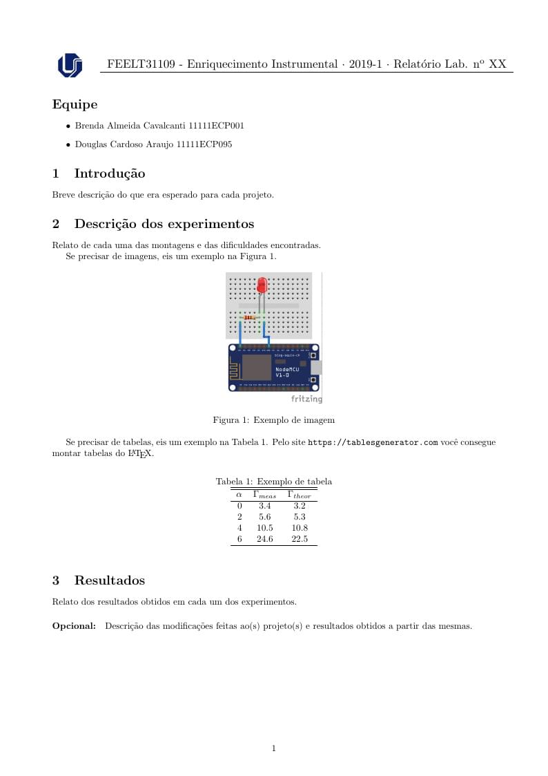 Template Relatórios FEELT31109