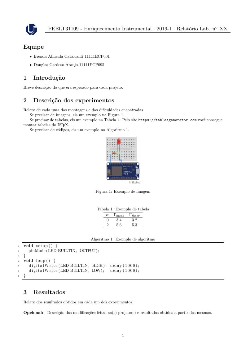 Template Relatórios FEELT31109