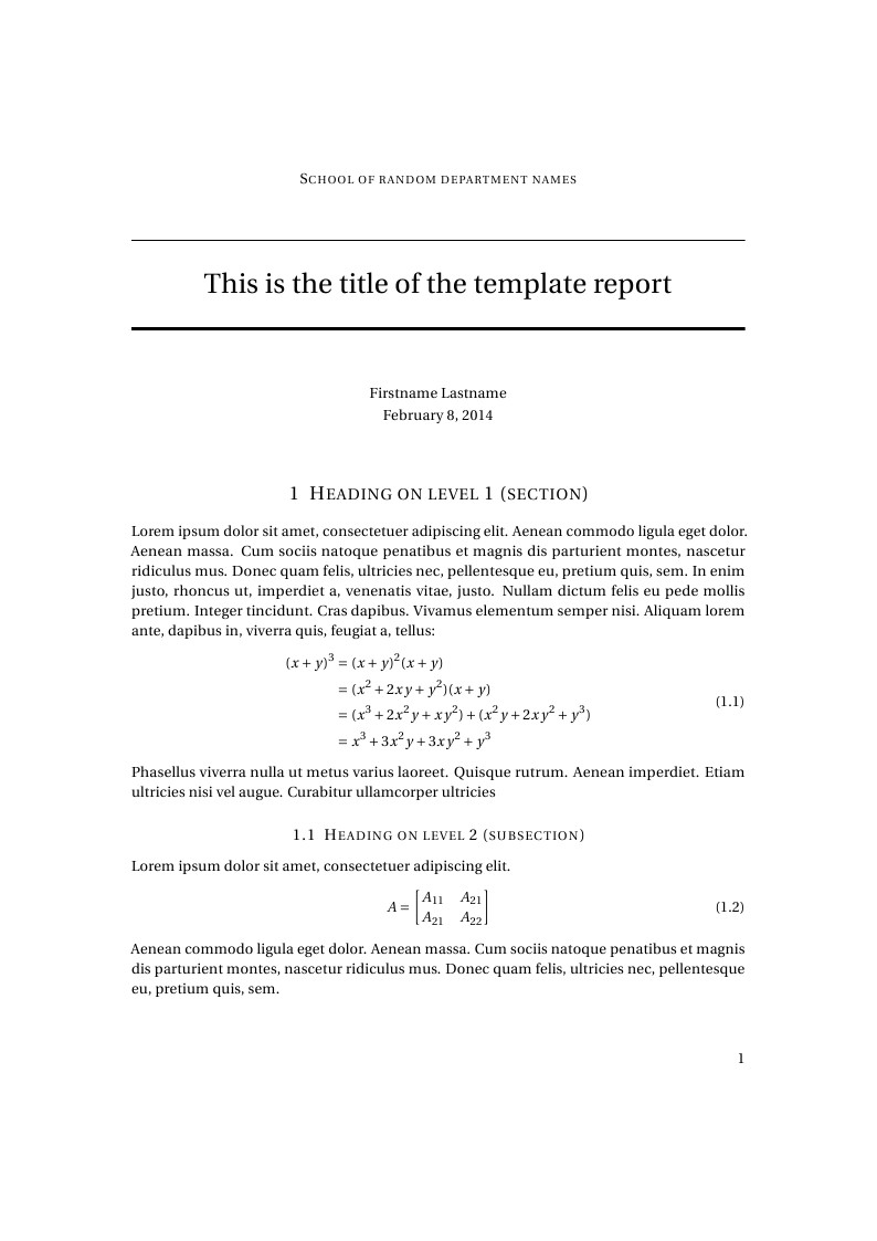 Project Report